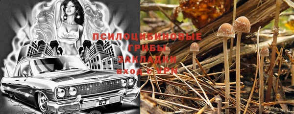 ешки Надым