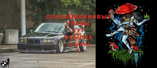 ешки Надым