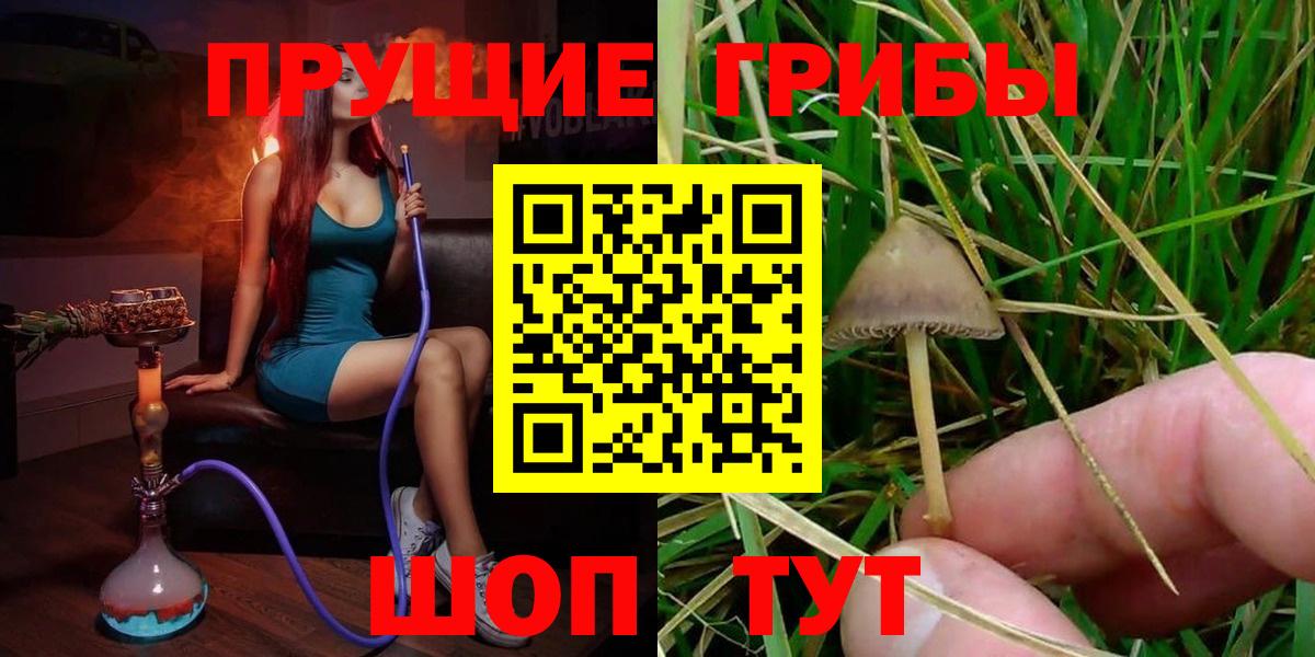 Псилоцибиновые грибы мухоморы  Вход с VPN  даркнет сайт  Красноярск 