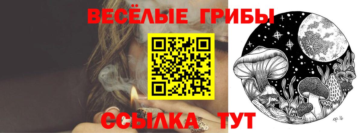Псилоцибиновые грибы GOLDEN TEACHER Красноярск